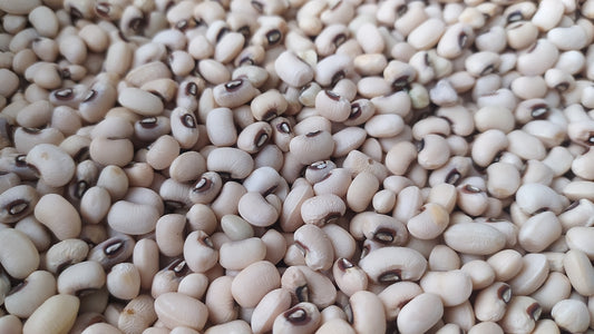 スリヤナグリ チャウラ ホワイト ロビア (1kg)