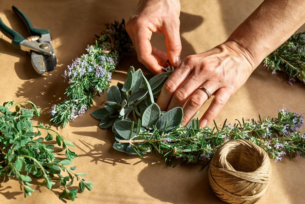 Herbs Collections