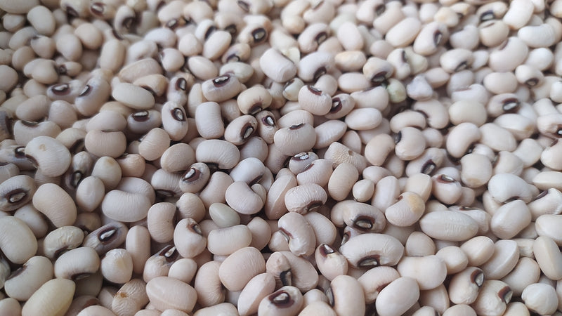 スリヤナグリ チャウラ ホワイト ロビア (1kg)