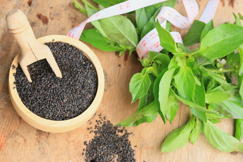 Suryanagri Sweet Basil Seeds (100 gm)