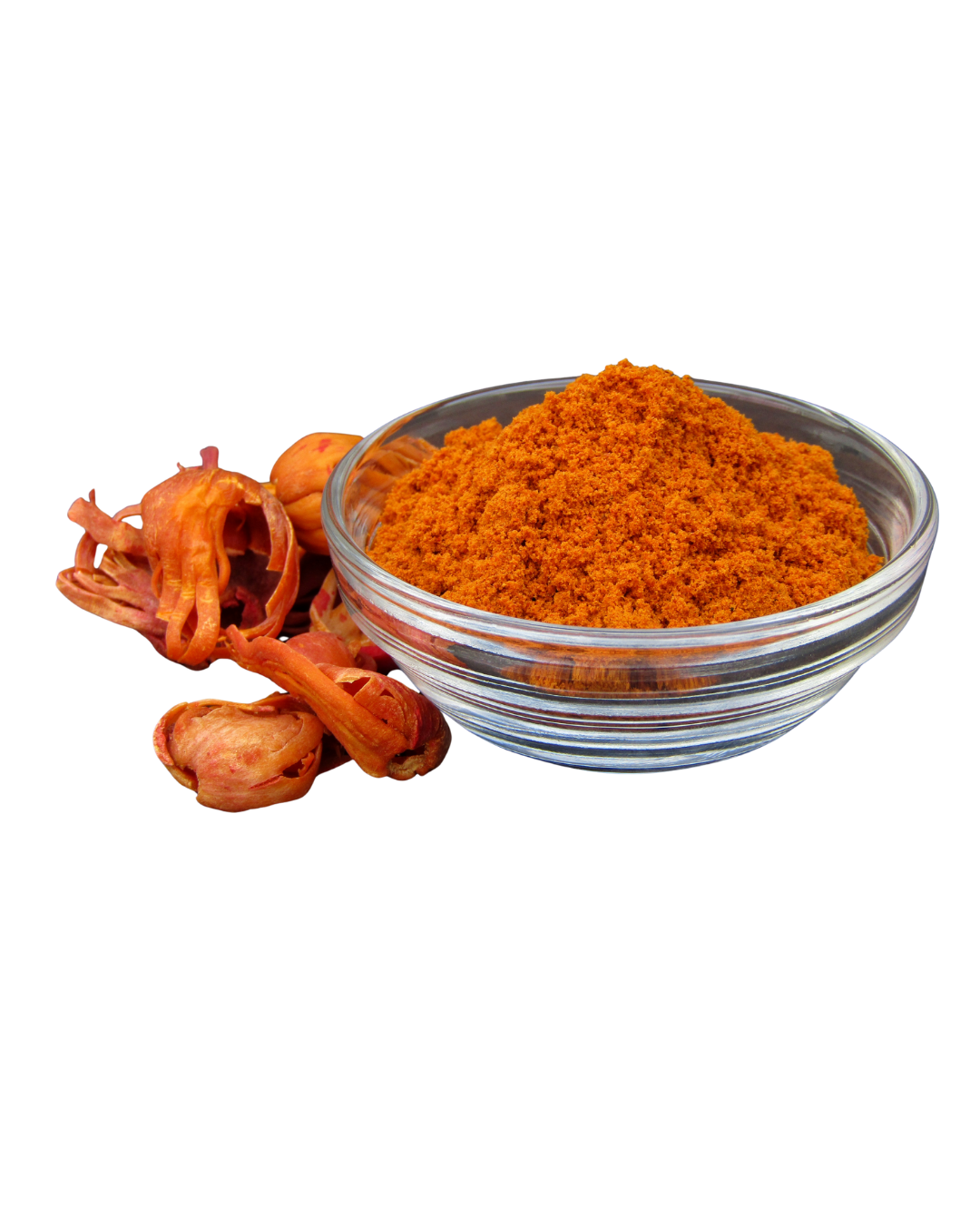 Suryanagri Mace Powder  (500 gm)