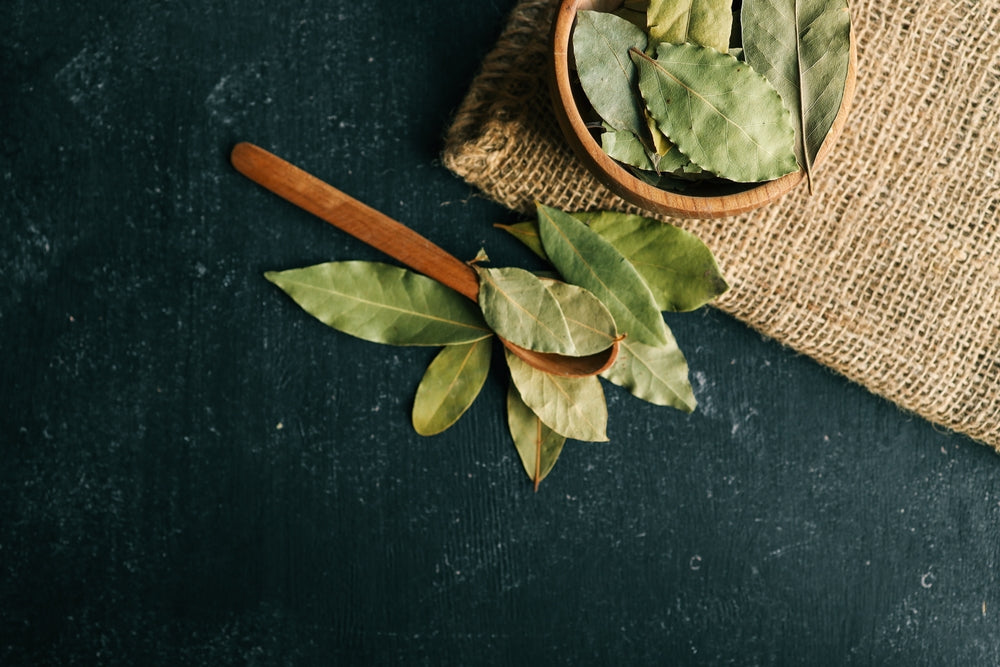 スリヤナグリベイリーフ（100グラム）