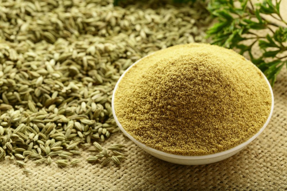 スリヤナグリ フェンネル パウダー (50 gm)